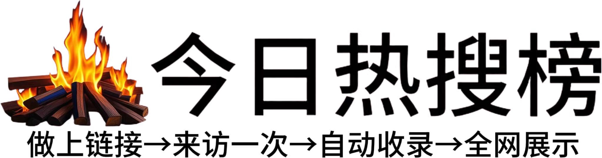 精心挑选的学习资源，助你快速进步